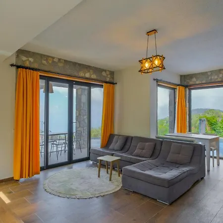 빌라 Pine 페티예